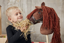 Load image into Gallery viewer, byASTRUP Hobby Horse Brown