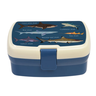 Rex London Lunch box with tray - Sharks
