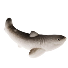 Load image into Gallery viewer, Rex London Giant hatching shark egg - Sharks