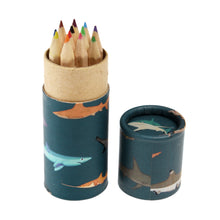 Load image into Gallery viewer, Rex London Tube of colouring pencils - Sharks