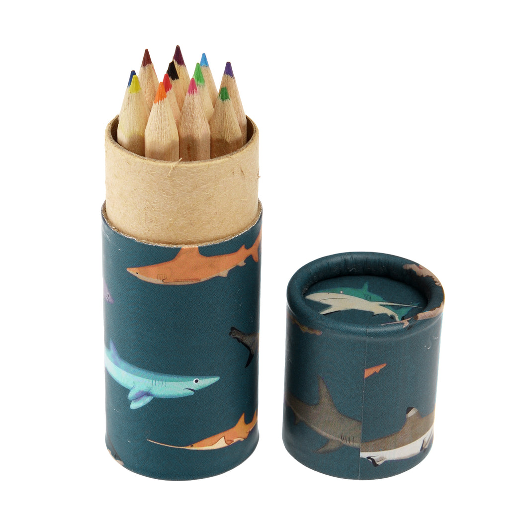 Rex London Tube of colouring pencils - Sharks