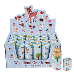 Rex London Tube of colouring pencils - Woodland Creatures