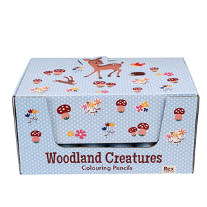 Rex London Tube of colouring pencils - Woodland Creatures