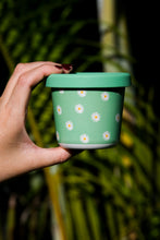 Load image into Gallery viewer, BBCino - Daisy Snack Pot
