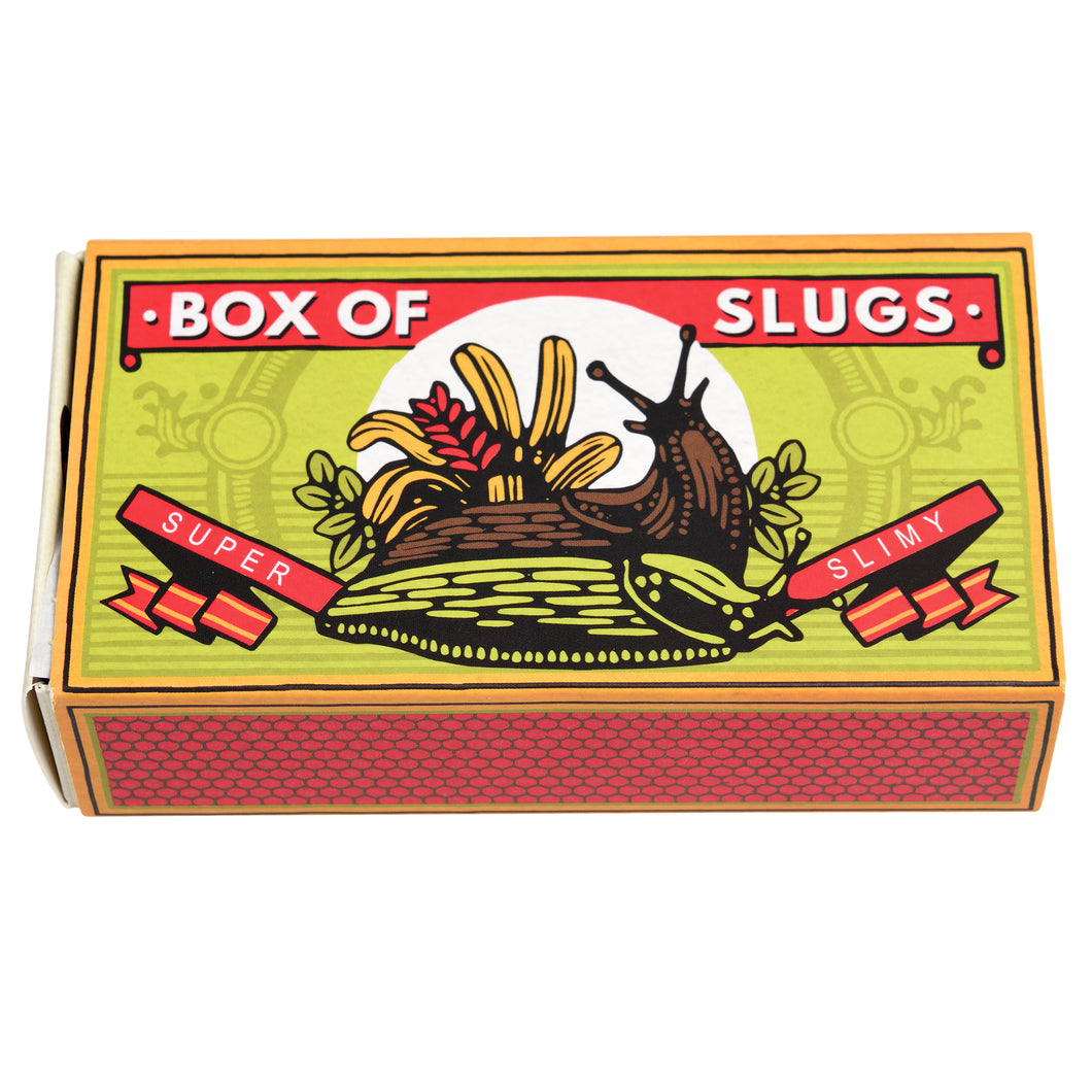Rex London Box Of Slugs